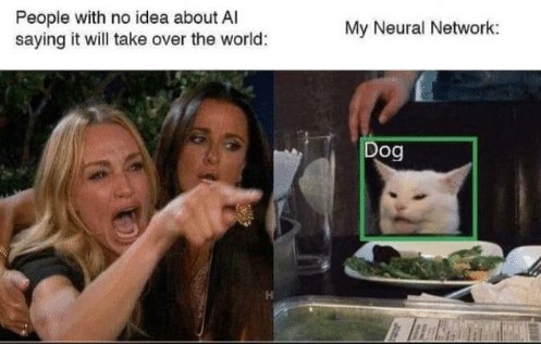 Clasificación de fotos de perros y gatos